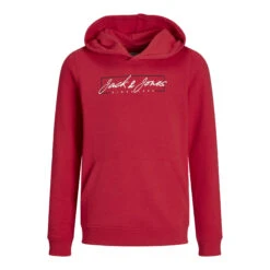 Sweatshirt à Capuche Enfant Jack & Jones Zuri