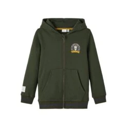 Sweatshirt à Capuche Enfant Name It Nulser